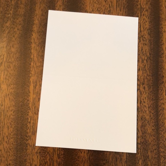 Tiffany & Co. Small Paper Shopping  Bags AND gift note and envelope - Picture 16 of 16